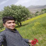 تصویر پروفایل علی اکبر مرادی