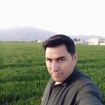 تصویر پروفایل فریبرز