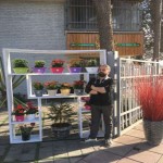 تصویر پروفایل هادی آریا