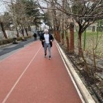 تصویر پروفایل پاشا