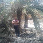 تصویر کاربر با کد 620231