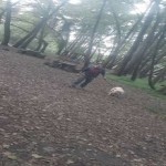 تصویر پروفایل پرهام