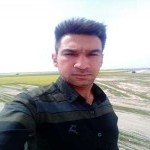 تصویر کاربر با کد 308487