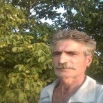 تصویر پروفایل علی