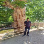 تصویر پروفایل محمدرضا