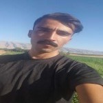 تصویر پروفایل افشین