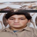 تصویر پروفایل حامد