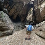 تصویر پروفایل فرهاد