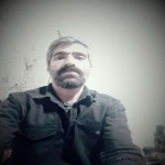 تصویر پروفایل حامد شمس الدینی