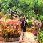 تصویر پروفایل ساحل