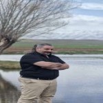 تصویر پروفایل مهرداد