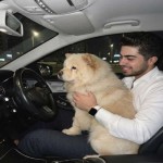تصویر پروفایل امیررضا