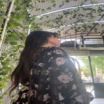 تصویر پروفایل فرشته برازنده