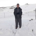 تصویر کاربر با کد 1260201