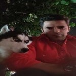 تصویر پروفایل امیر لطفی