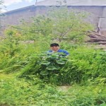 تصویر پروفایل محمد